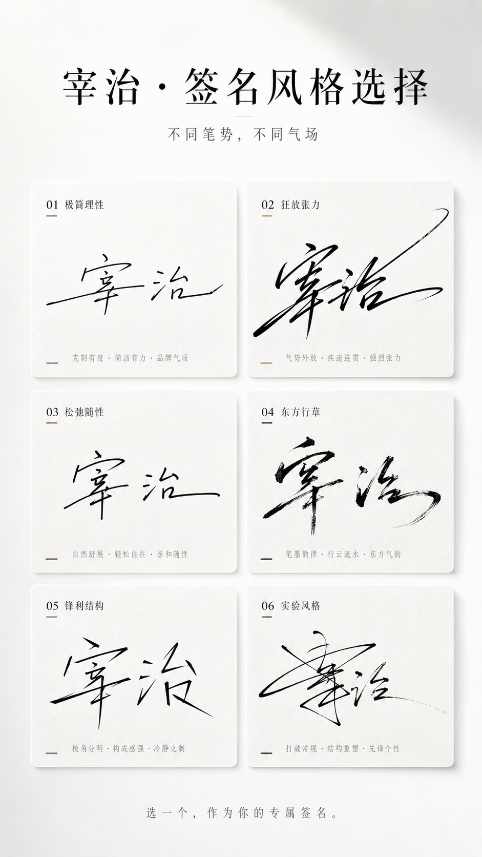 Signature Style Options Poster